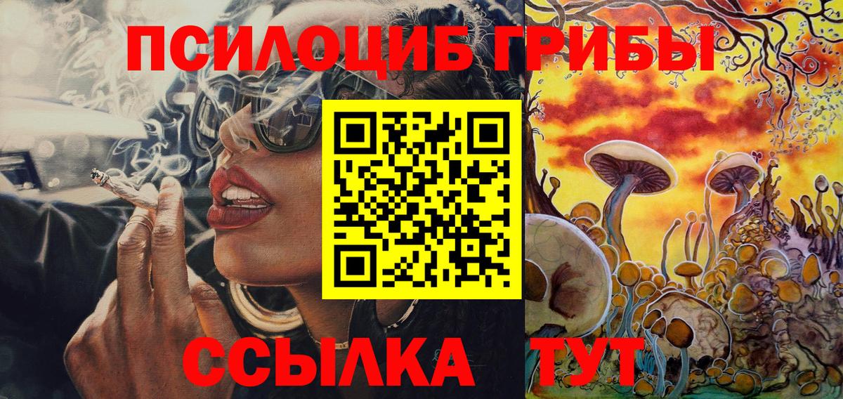 Галлюциногенные грибы мицелий  Вход с VPN  Зерноград 