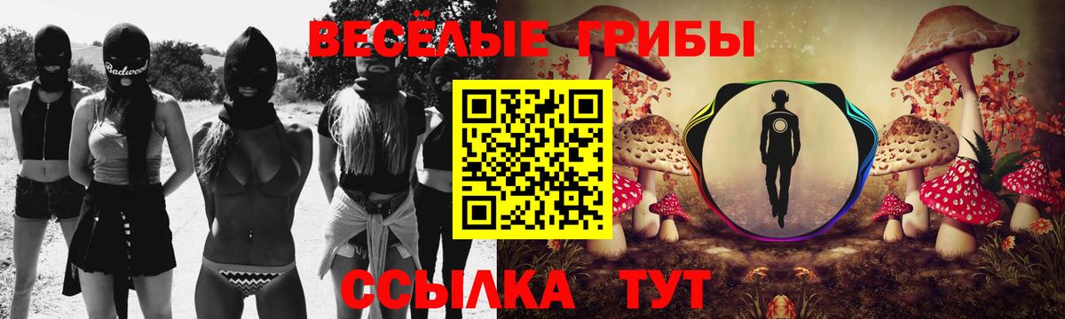 Псилоцибиновые грибы GOLDEN TEACHER Зерноград